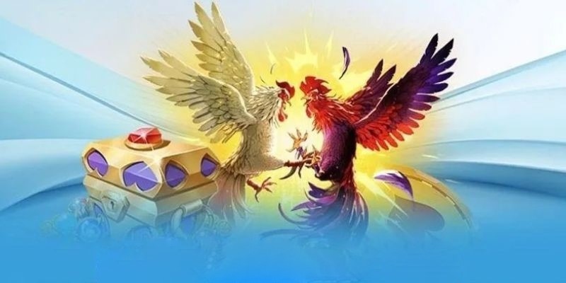 Trang chủ 37 Trang chủ 1xbit trực tiếp đá gà chất lượng cao